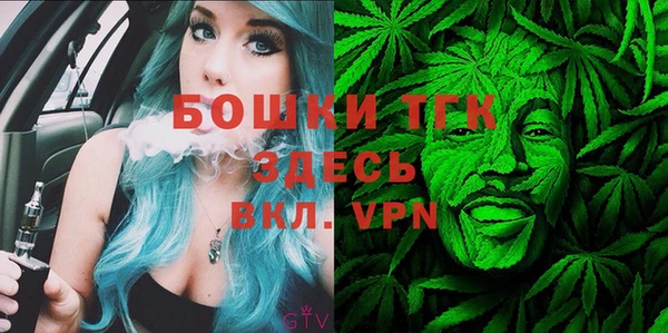 шишки Алексин