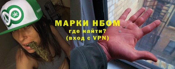 шишки Алексин