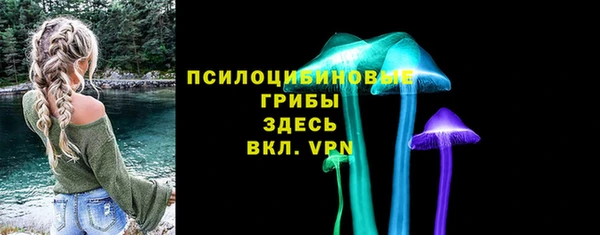 спиды Алзамай