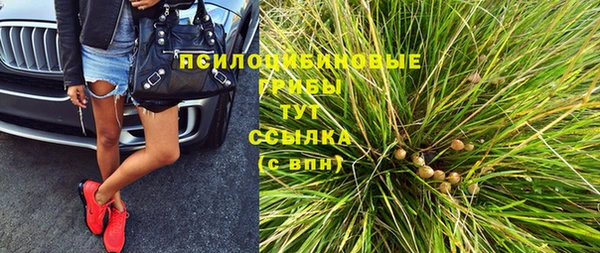 спиды Алзамай