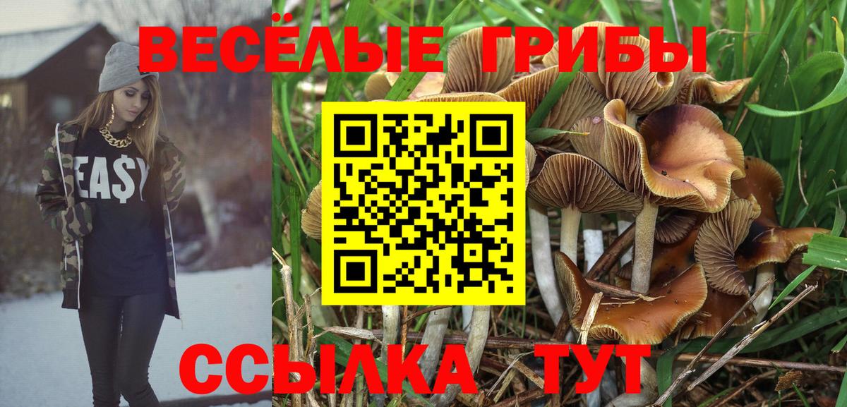 Нижнеудинск  Галлюциногенные грибы мицелий  Псилоцибиновые грибы GOLDEN TEACHER  Вход с VPN 