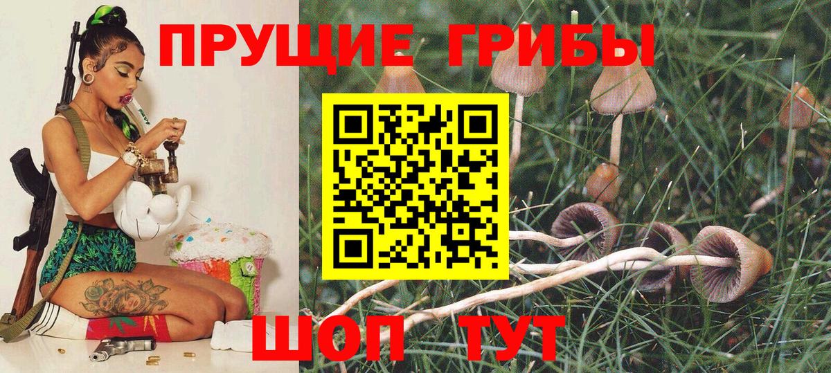 Псилоцибиновые грибы GOLDEN TEACHER Нижнеудинск